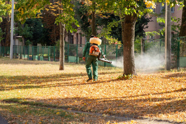 Best Local Pest Control Services  in London, CA