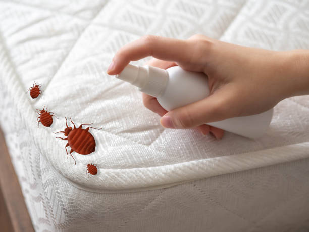 Best Wildlife Control Services  in London, CA