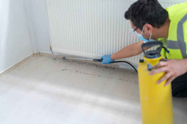 Best Affordable Pest Control Services  in London, CA