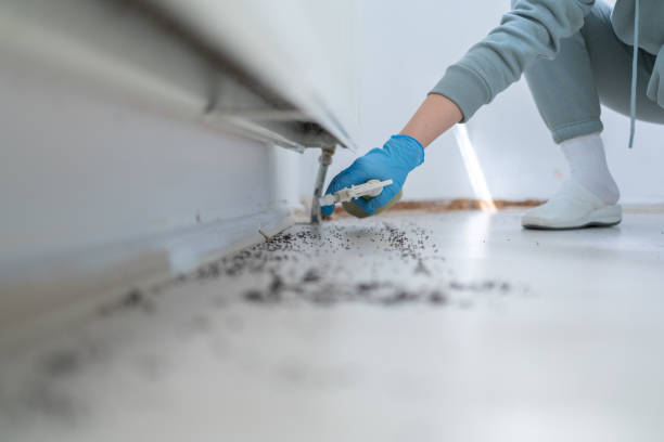 Best Wildlife Control Services  in London, CA